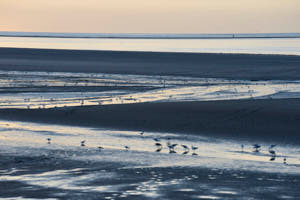 Baie a marÈe basse<br>NIKON D4, 170 mm, 450 ISO,  1/500 sec,  f : 8 